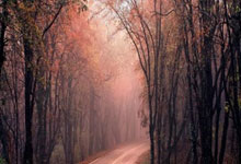 南宫体育官方网站：[网球]张帅组合晋级WTA林茨站女双八强.