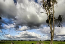 [NBA]康利甩传底角 爱德华兹三分稳稳命中.