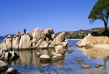 南宫体育官方网站：张本美和4-2桥本帆乃香，斩获WTT球星挑战赛金奈站女单冠军.